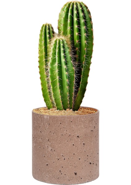 Beton Saksı - 12,5 cm Çap, Modern ve Minimalist Tasarım, Dayanıklı ve Dekoratif indirimleri