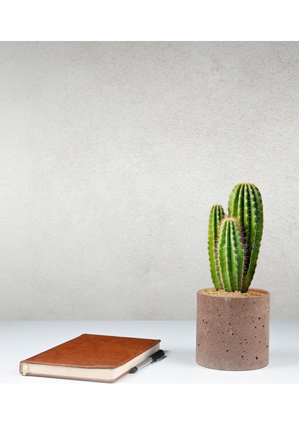 Beton Saksı - 12,5 cm Çap, Modern ve Minimalist Tasarım, Dayanıklı ve Dekoratif fırsatları