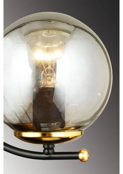 Siyah Bade Füme Camlı Yukarı Bakan Modern Aplik fırsatları