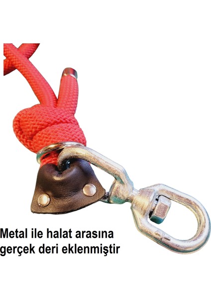 Büyük Irk Köpek Gezdirme Kayışı Fırdöndü ve Karabinalı Big Dog Leash fiyatları