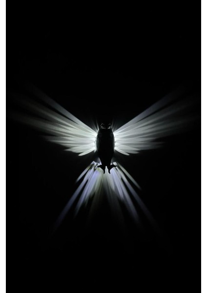 Kartal Figürlü LED Duvar Lambası – Aplik, Pilli, Dekoratif ve Modern Aydınlatma / Gece Lambası - gr