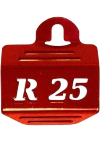Hidrolik Tankı Koruma Demiri Kırmızı Yamaha R25
