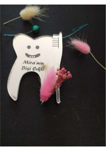 Diş Magneti Gümüş Magnet Baby Shower 10 Adet