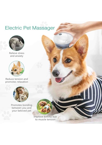 Kablosuz Kafa Masaj Aleti Taşınabilir Evcil Hayvan Kafa Derisi Tüm Vücut Masaj Aleti fiyatları