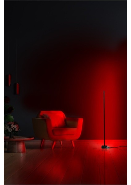 Kumandalı LED Lambader Çok Renkli modelleri