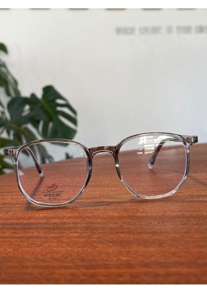 Rov Mavi Işık Korumalı Köşegen Gözlük modelleri