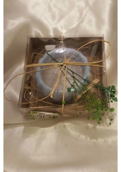 Yılbaşı Kaktüs Saksı Mum Yeni Yıl Mumu Noel Kader Kısmet Mumu si fırsatları