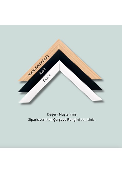 Isme Özel Çerçeveli Kız Çocuk Odası Tablo Seti - Çocuk Odası Tablosu - Modern Tablo Seti indirimleri