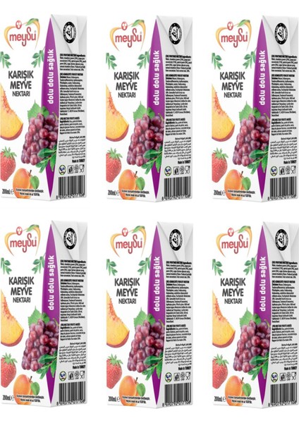Karışık Meyve Nektarı 200 ml x 6 Adet