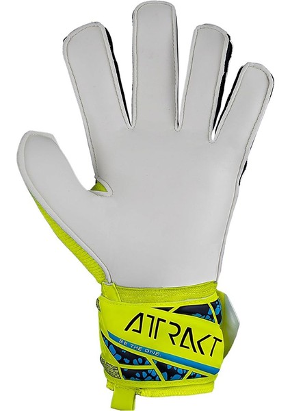 5470515-2111 Attrakt Solid Kaleci Eldiveni fiyatları