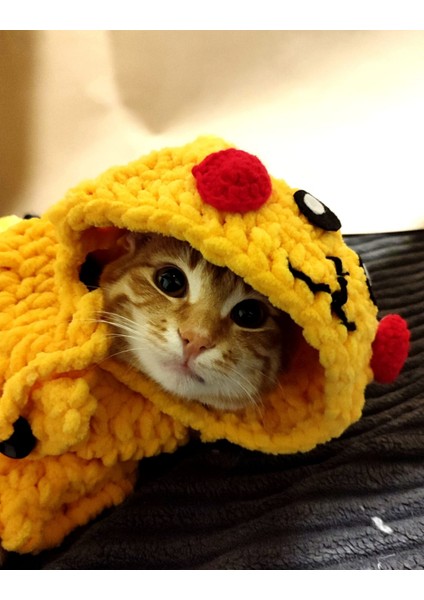 Pikachu Örgü Kedi Kıyafeti