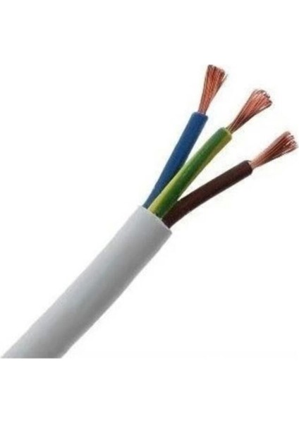 3x2,5 Ttr Cca Kablo Elektrik Kablosu Ttr 50 Metre fiyatları