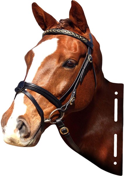 Hayvan Kafaları Metal Heykel Koridor Ev Yatak Odası Için Rustik Duvar Heykel At (Yurt Dışından)