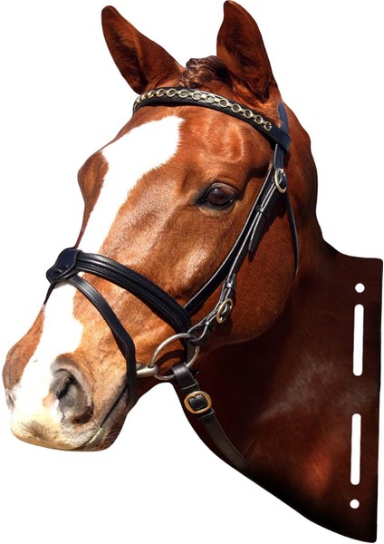 Hayvan Kafaları Metal Heykel Koridor Ev Yatak Odası Için Rustik Duvar Heykel At (Yurt Dışından) fiyatları