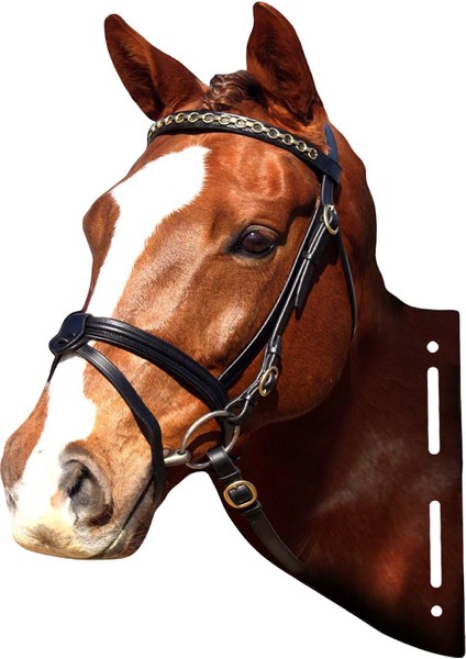 Hayvan Kafaları Metal Heykel Koridor Ev Yatak Odası Için Rustik Duvar Heykel At (Yurt Dışından) modelleri