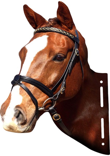 Hayvan Kafaları Metal Heykel Koridor Ev Yatak Odası Için Rustik Duvar Heykel At (Yurt Dışından) fırsatları