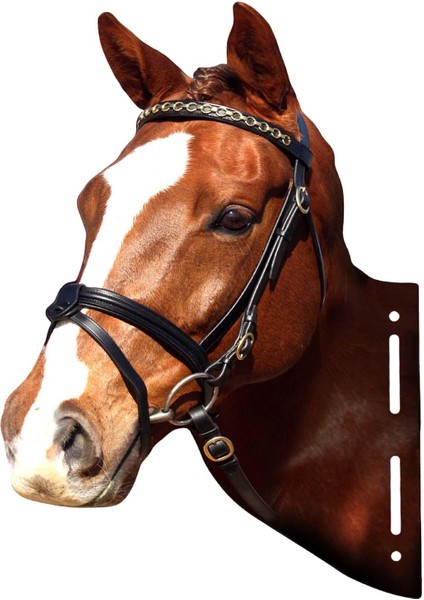 Hayvan Kafaları Metal Heykel Koridor Ev Yatak Odası Için Rustik Duvar Heykel At (Yurt Dışından) indirimleri