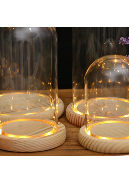 Minyatür Peyzaj Süslemeleri Mini Dome Ğı 15 x 25CM (Yurt Dışından) indirimleri