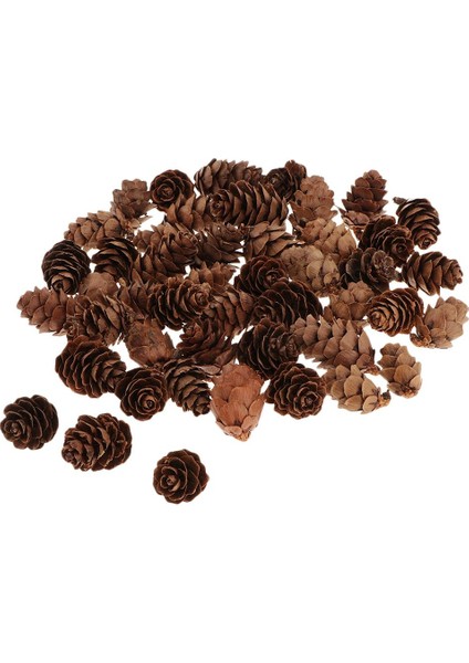 60 Mini Dekoratif Koniler Evi Dekorasyon Kase Dolgu Üntüleri (Yurt Dışından)