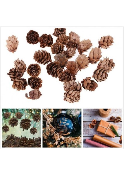 60 Mini Dekoratif Koniler Evi Dekorasyon Kase Dolgu Üntüleri (Yurt Dışından) fiyatları