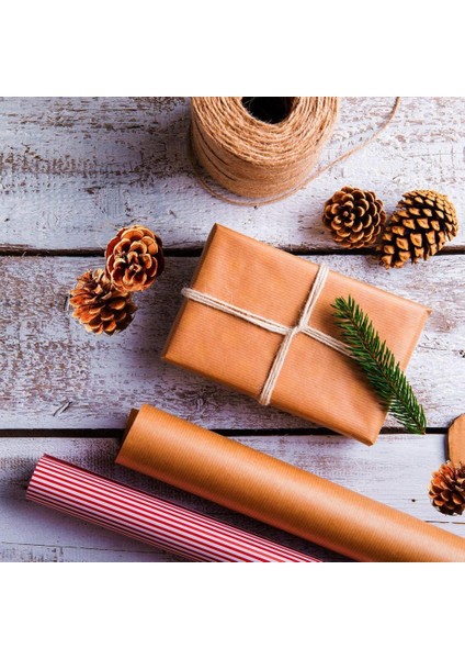 60 Mini Dekoratif Koniler Evi Dekorasyon Kase Dolgu Üntüleri (Yurt Dışından) modelleri