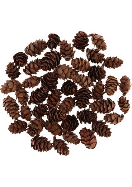 60 Mini Dekoratif Koniler Evi Dekorasyon Kase Dolgu Üntüleri (Yurt Dışından) fırsatları