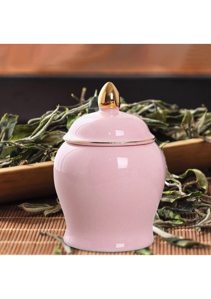 Kapaklı Mini Seramik Gıda Kavanozu Ürlü Depolama Tankı Çay Teneke Kutu Cilalı (Yurt Dışından) fırsatları