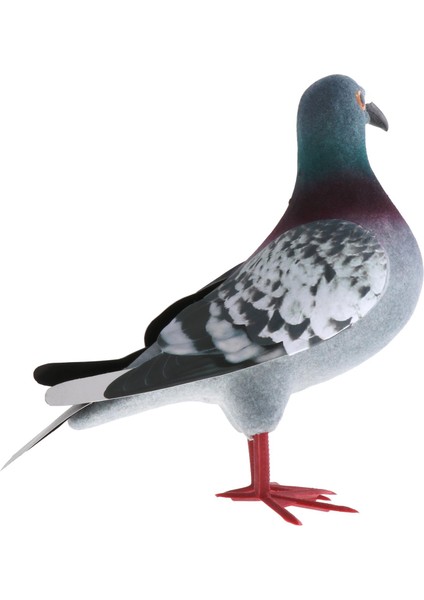 Simülasyon Ük Güvercin Parti Paskalya Hediyeleri Ş Ük Kuş 1 Stil B (Yurt Dışından) fırsatları