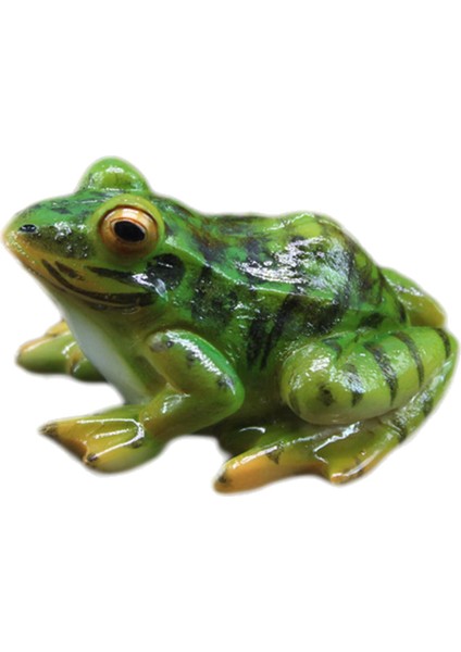 Ev Reçine Kurbağa Büyük Gö Heykeli Dekorasyon Heykel Dekor (Yurt Dışından)