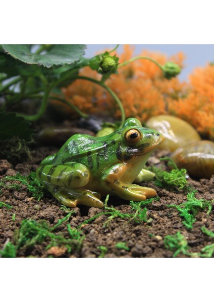 Ev Reçine Kurbağa Büyük Gö Heykeli Dekorasyon Heykel Dekor (Yurt Dışından) fırsatları