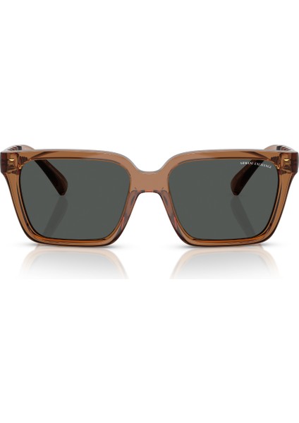 Ax 4147S 835887 56 Armani Exchange Erkek Güneş Gözlüğü fırsatları