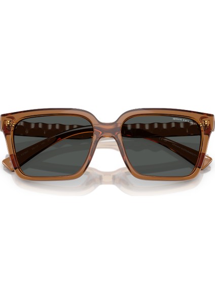 Ax 4147S 835887 56 Armani Exchange Erkek Güneş Gözlüğü indirimleri