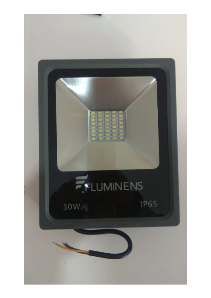 30W 2700 Lümen 6500K LED Projektör FL10831 IP65