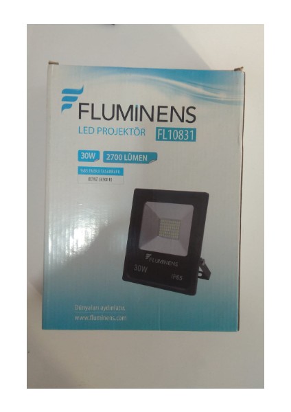 30W 2700 Lümen 6500K LED Projektör FL10831 IP65