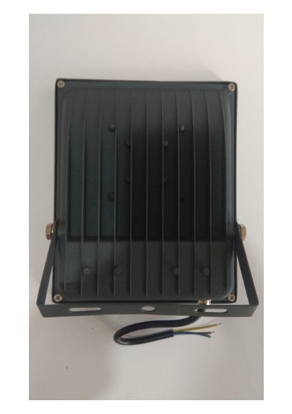 30W 2700 Lümen 6500K LED Projektör FL10831 IP65