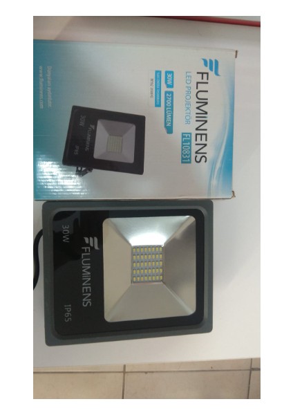 30W 2700 Lümen 6500K LED Projektör FL10831 IP65