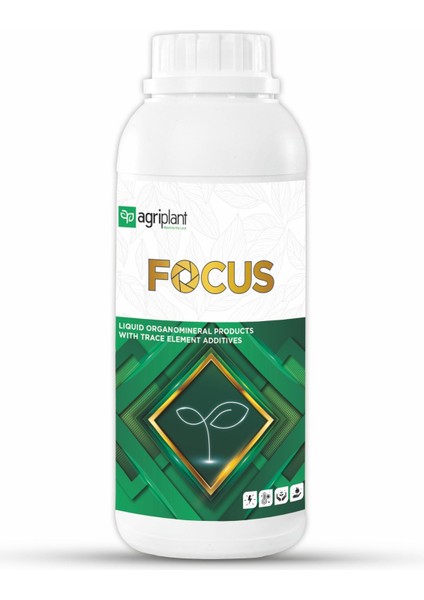 Focus 1 Lt