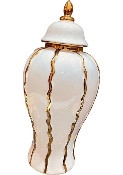 Zencefil Kavanozu Depolama El I Seramik Çiçek Vazosu Ev Odası 21CMX21CMX45CM (Yurt Dışından)