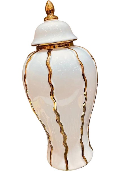 Zencefil Kavanozu Depolama El I Seramik Çiçek Vazosu Ev Odası 21CMX21CMX45CM (Yurt Dışından) fiyatları