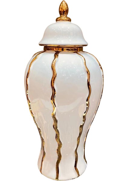 Zencefil Kavanozu Depolama El I Seramik Çiçek Vazosu Ev Odası 21CMX21CMX45CM (Yurt Dışından) modelleri