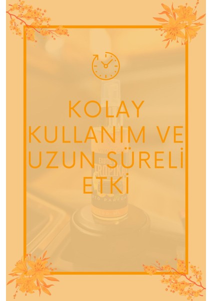 Platinium Amerikan Vanilya Araba Araç Oto Kokusu Parfümü Sprey 120 ml