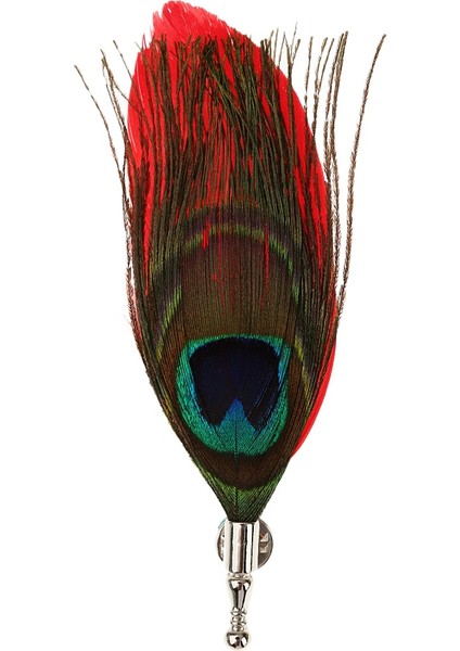 Yeşil Stil Retro Tavus Kuşu Tüyü Broşlar Broş Düğün Parti Şık Elbise Dekorasyonu (Yurt Dışından) modelleri