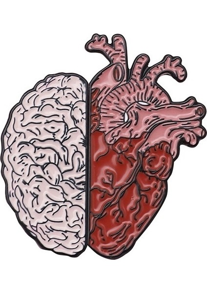 No.3 Boyutu Insan Beyin Organ Broş Yarı Beyin ve Kalp Emaye Rozet Pin Broş Tıbbi Takı Doktor Öğrenci Öğretmen Hediyesi (Yurt Dışından)