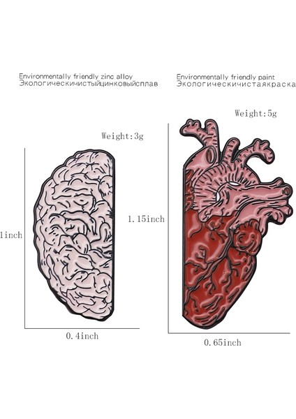 No.3 Boyutu Insan Beyin Organ Broş Yarı Beyin ve Kalp Emaye Rozet Pin Broş Tıbbi Takı Doktor Öğrenci Öğretmen Hediyesi (Yurt Dışından)