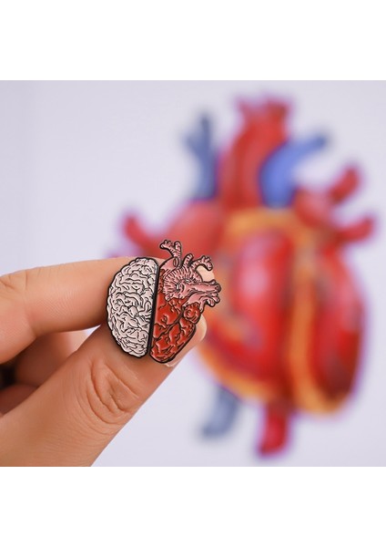 No.3 Boyutu Insan Beyin Organ Broş Yarı Beyin ve Kalp Emaye Rozet Pin Broş Tıbbi Takı Doktor Öğrenci Öğretmen Hediyesi (Yurt Dışından)