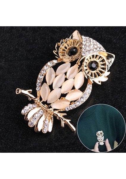 Büyük Baykuş Broş Buketi Vintage Düğün Başörtüsü Pin Up Toka Broşlar (Yurt Dışından)