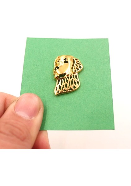 Gümüş Beyaz Tarzı Erkek Sevimli Takım Broo Golden Retriever Köpek Hayvan Severler Komik Hediye (Yurt Dışından) indirimleri