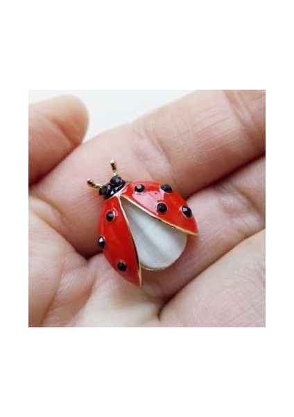 Yeni Moda Uğur Böceği Emaye Pin Metal Böcek Broş Koleksiyon Broş Bayan Takı Atkı Klipsi (Yurt Dışından) modelleri