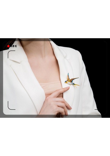 Kahverengi Tarzı Kadın Broş ve Takılar Swarovski Taşlı Kuş Email Broş Şal Klipsi Banquet Pin Takı (Yurt Dışından)