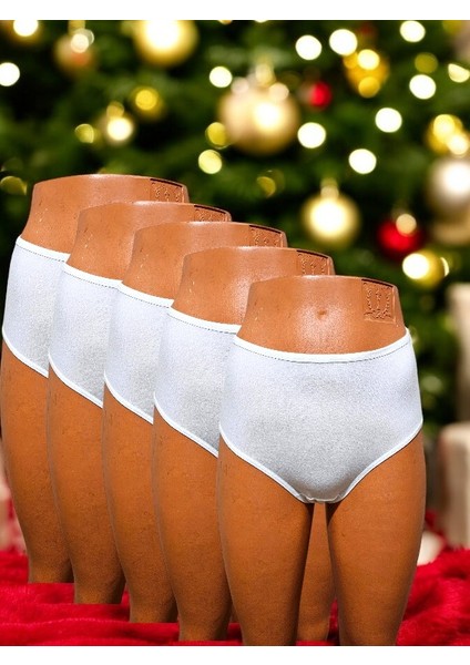 Désir 5 Adet Kadın Yüksek Bel Bato Külot fiyatları